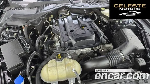 FORD Cabriolet 2021 — photo 6 sur 31