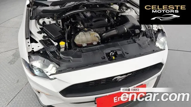 FORD Coupé 2019 — photo 6 sur 31