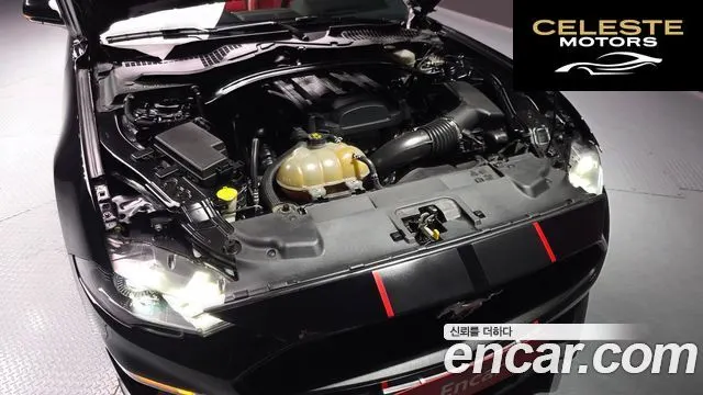 FORD Cabriolet 2019 — photo 6 sur 27