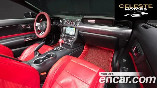 FORD Cabriolet 2019 — photo 10 sur 27