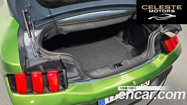 FORD 75.0 GT Premium Cabriolet 2024 — photo 19 sur 20