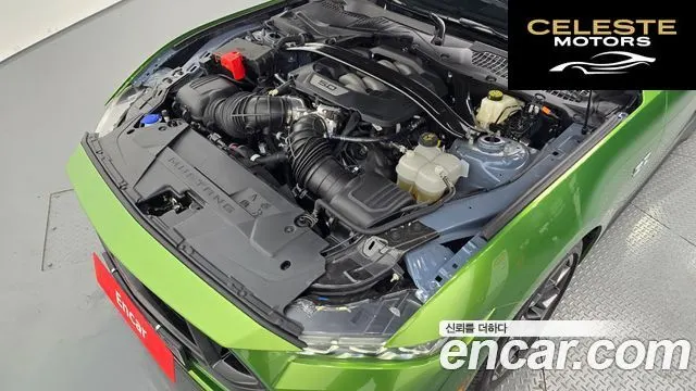 FORD 75.0 GT Premium Cabriolet 2024 — photo 6 sur 20