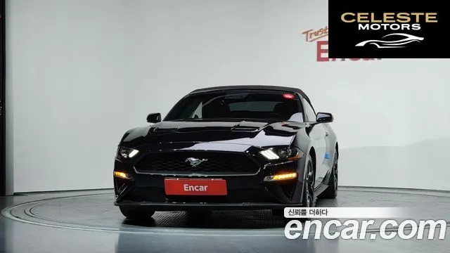 FORD Cabriolet 2019 — photo 3 sur 37