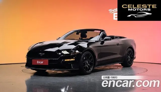 FORD Cabriolet 2019 — photo 30 sur 30