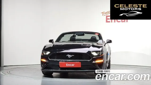 FORD Cabriolet 2019 — photo 36 sur 37