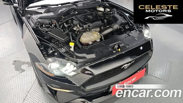 FORD Cabriolet 2019 — photo 5 sur 30