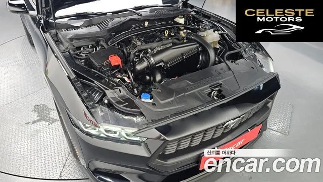 FORD 72.3 Premium Cabriolet 2024 — photo 5 sur 30