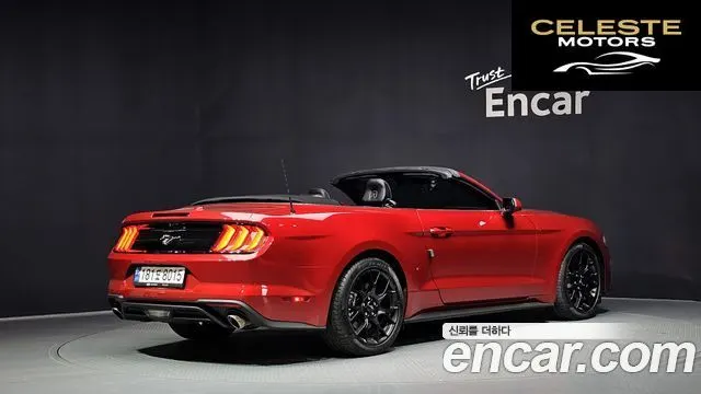FORD Cabriolet 2023 — photo 2 sur 35