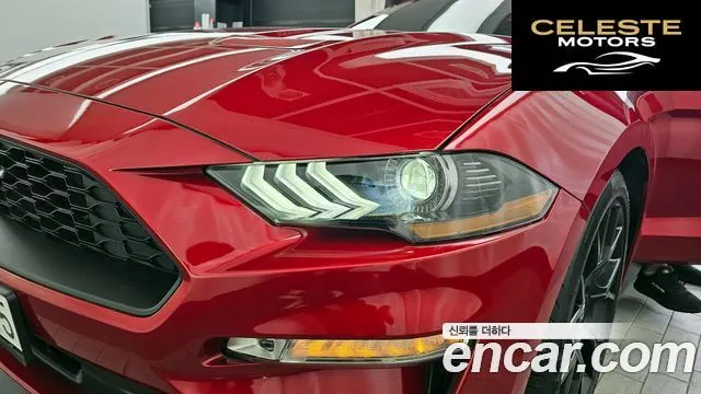 FORD Cabriolet 2023 — photo 8 sur 35