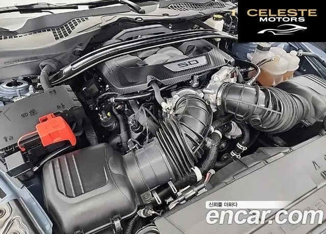 FORD 75.0 GT Premium Cabriolet 2024 — photo 5 sur 25