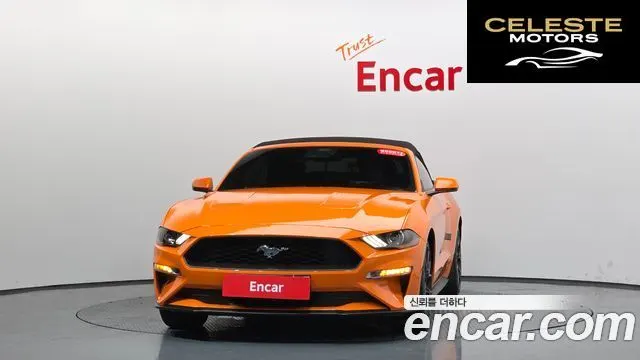 FORD Cabriolet 2020 — photo 2 sur 36