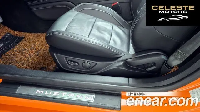 FORD Cabriolet 2020 — photo 27 sur 36
