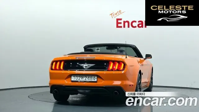 FORD Cabriolet 2020 — photo 35 sur 36