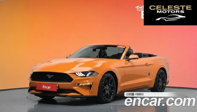 FORD Cabriolet 2020 — photo 36 sur 36