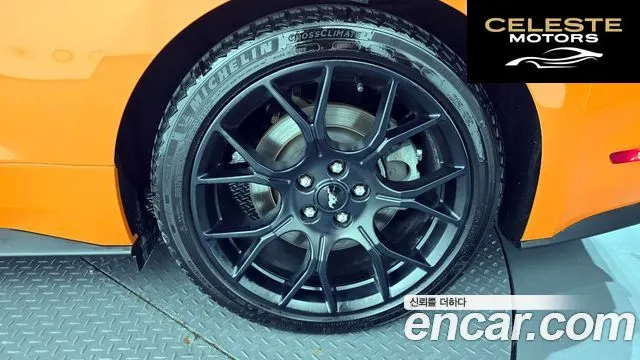 FORD Cabriolet 2020 — photo 6 sur 36