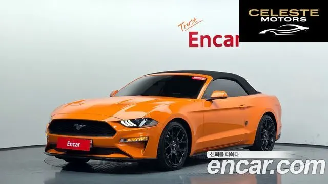 FORD Cabriolet 2020 — photo 32 sur 36