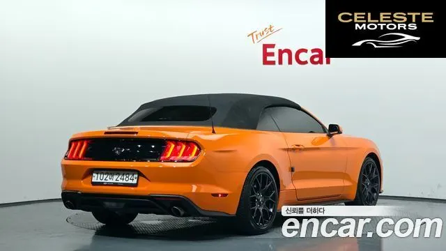FORD Cabriolet 2020 — photo 33 sur 36