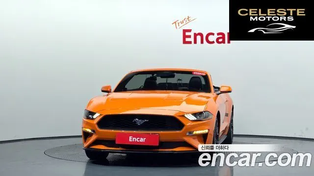 FORD Cabriolet 2020 — photo 34 sur 36