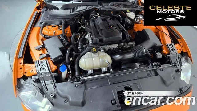 FORD Cabriolet 2020 — photo 5 sur 36