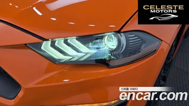 FORD Cabriolet 2020 — photo 7 sur 36