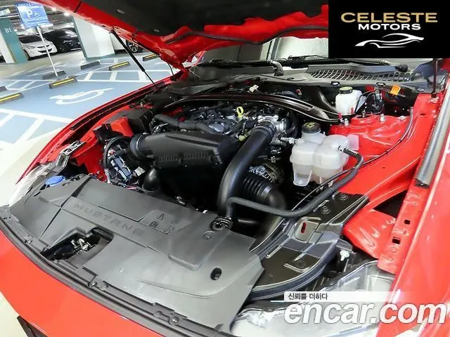 FORD 72.3 Premium Cabriolet 2024 — photo 19 sur 26