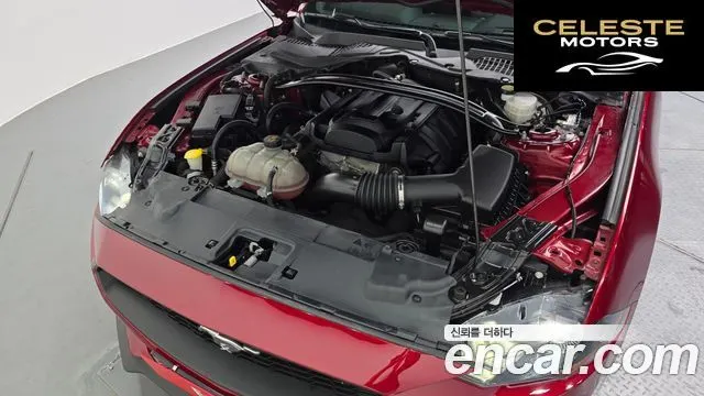 FORD Coupé 2019 — photo 6 sur 36