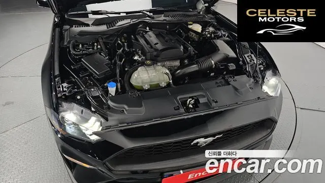 FORD Coupé 2023 — photo 6 sur 32