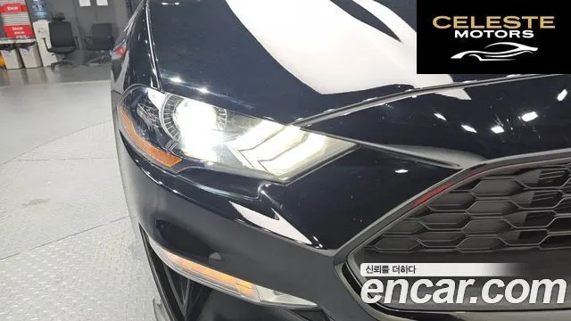 FORD Coupé 2023 — photo 8 sur 32