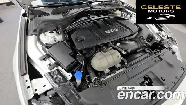 FORD GT Cabriolet 2022 — photo 6 sur 32