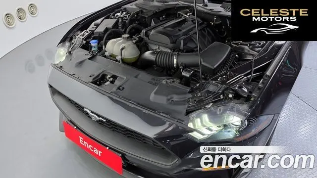 FORD Coupé 2023 — photo 6 sur 31