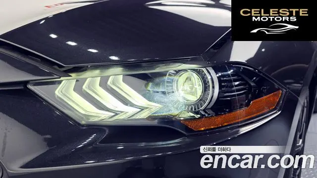 FORD Coupé 2023 — photo 8 sur 31