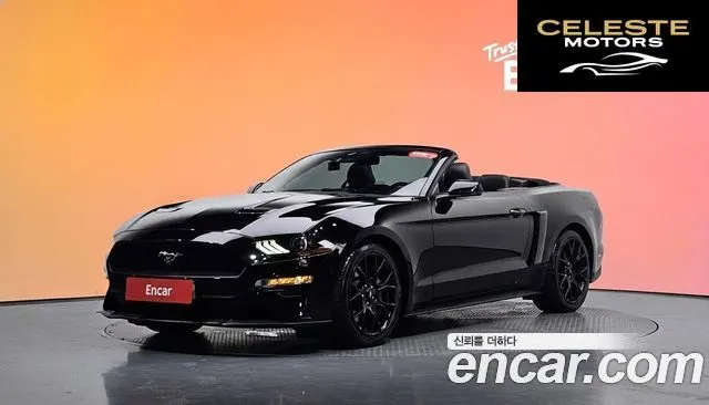 FORD Cabriolet 2020 — photo 30 sur 30