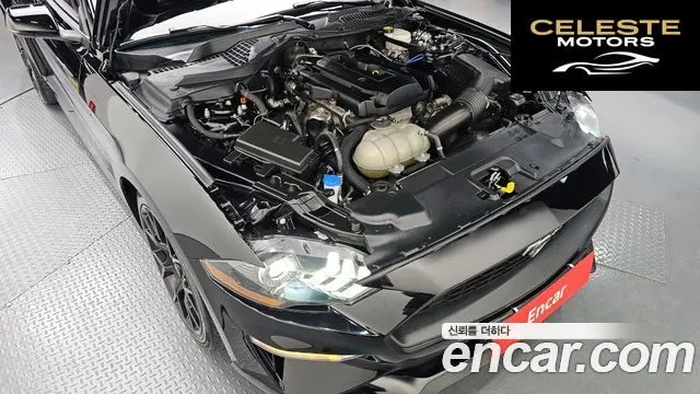 FORD Cabriolet 2020 — photo 5 sur 30