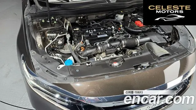 HONDA 101.5 Turbo 2019 — photo 6 sur 20