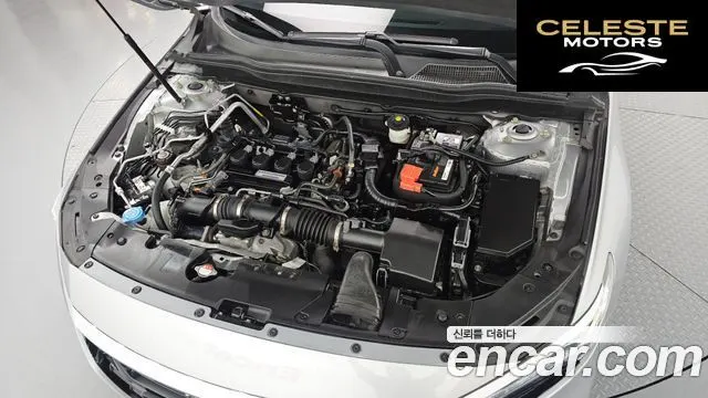 HONDA 101.5 Turbo 2019 — photo 6 sur 31