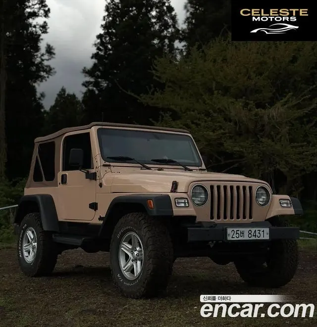 JEEP (TJ) 4.0 1997 — photo 3 sur 12