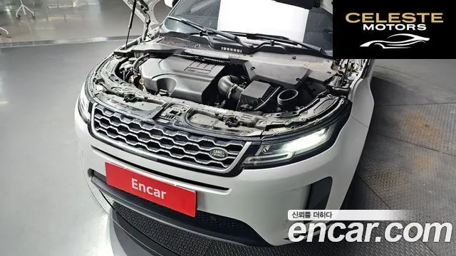 LAND ROVER Range Rover Evoque 2P250 SE 2022 — photo 6 sur 20
