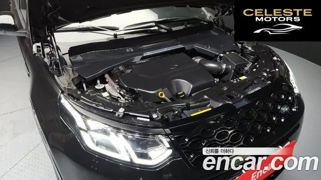 LAND ROVER Discovery Sport 2P250 Dynamic SE 2025 — photo 6 sur 20