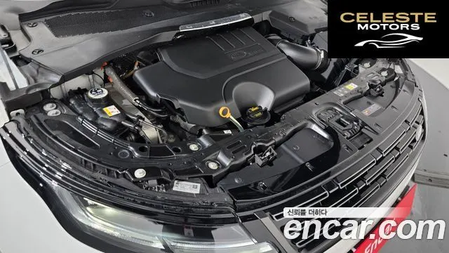 LAND ROVER Range Rover Evoque 2P250 Dynamic SE 2024 — photo 5 sur 20