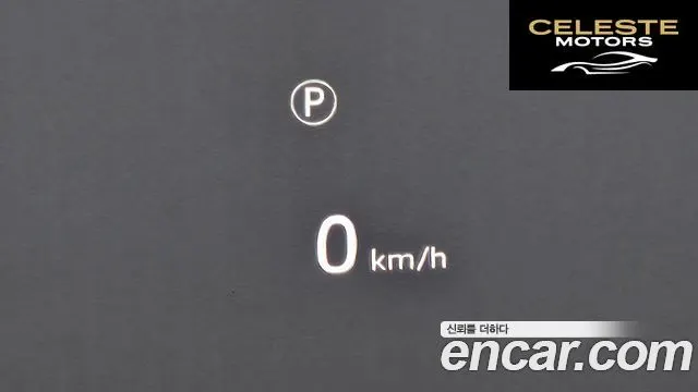 LAND ROVER Defender (L663) 110 D300 75th Edition 2023 — photo 17 sur 20