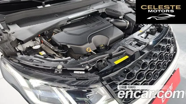 LAND ROVER Discovery Sport 2P250 Dynamic SE 2025 — photo 5 sur 20
