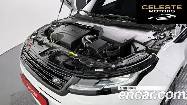 LAND ROVER Range Rover Evoque 2P250 Dynamic SE 2026 — photo 6 sur 20