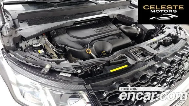 LAND ROVER Discovery Sport 2P250 Dynamic SE 2025 — photo 6 sur 20