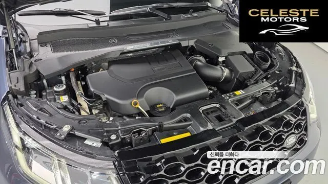 LAND ROVER Discovery Sport 2P250 Dynamic SE 2025 — photo 10 sur 20