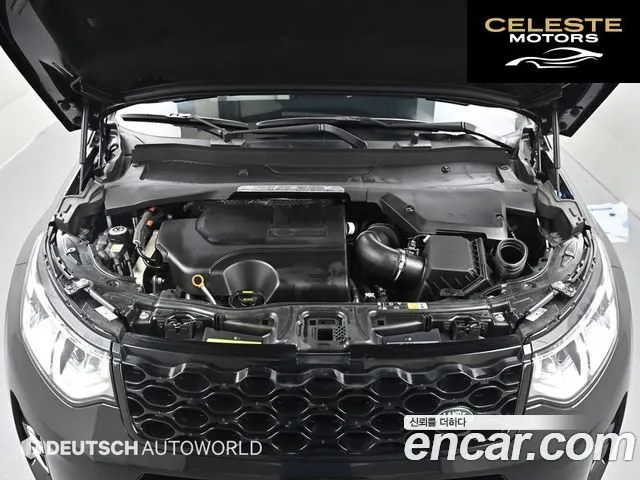 LAND ROVER Discovery Sport 2P250 Dynamic SE 2025 — photo 6 sur 26