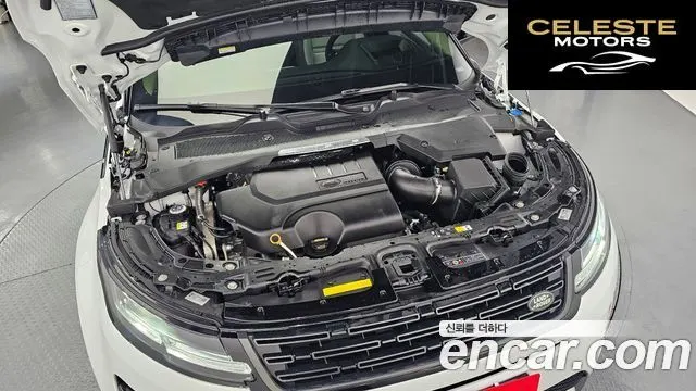 LAND ROVER Range Rover Evoque 2P250 Dynamic SE 2025 — photo 6 sur 20