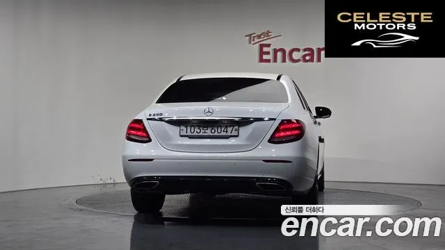 MERCEDES BENZ E-Classe W213 E250 Avantgarde 2020 — photo 3 sur 20