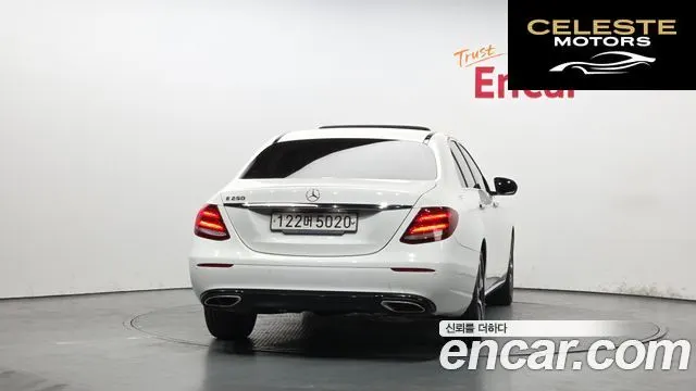 MERCEDES BENZ E-Classe W213 E250 Avantgarde 2020 — photo 4 sur 20