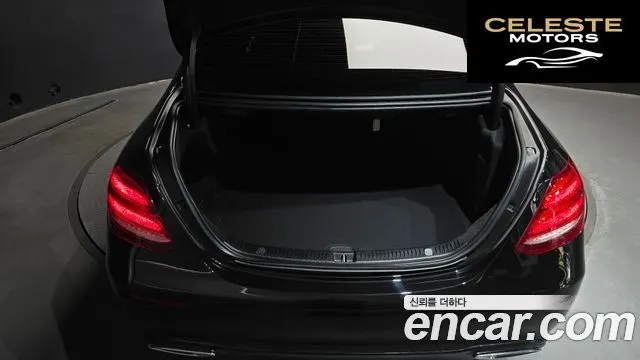MERCEDES BENZ E-Classe W213 E250 Avantgarde 2020 — photo 29 sur 30