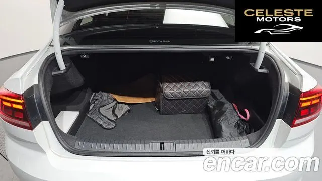VOLKSWAGEN GT(B8) 2.0 TDI Premium 2021 — photo 20 sur 20